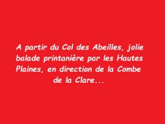 26.04.26 col des abeilles